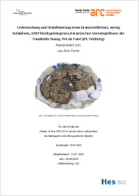 2025_MA-CRAE-Furrer Lea_Corrigendum_Untersuchung Stabilisierung Fundstelle Bussy Pré de Fond.pdf